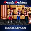 Arcade Archives: Double Dragon Box Art Front
